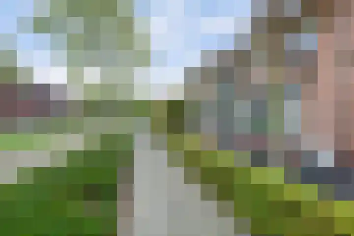 Vlaemsche Hoeve 17 Vlijmen thumbnail 44