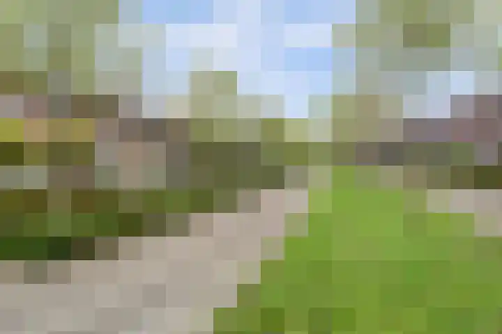 Vlaemsche Hoeve 17 Vlijmen thumbnail 45