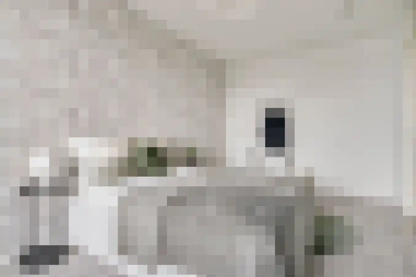 Vlaemsche Hoeve 198 Vlijmen thumbnail 18