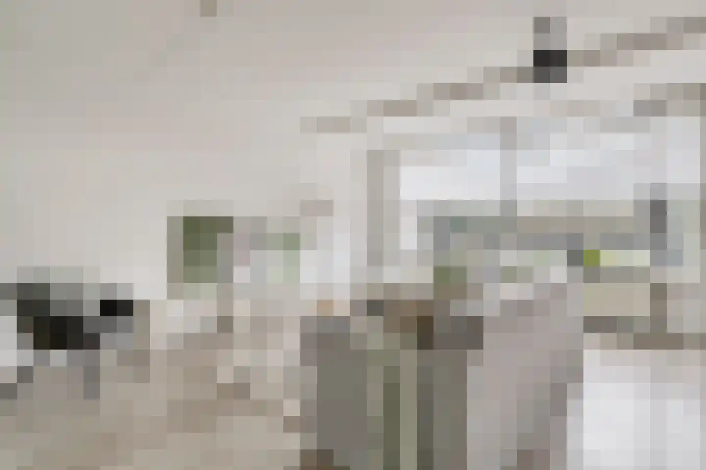 Vlaemsche Hoeve 198 Vlijmen thumbnail 5
