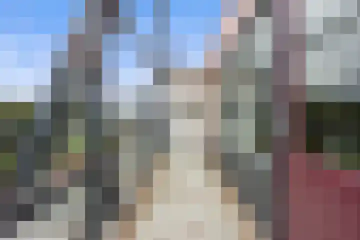 Vlaemsche Hoeve 204 Vlijmen thumbnail 20