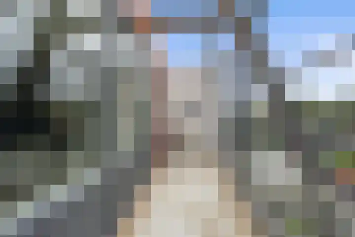 Vlaemsche Hoeve 204 Vlijmen thumbnail 22