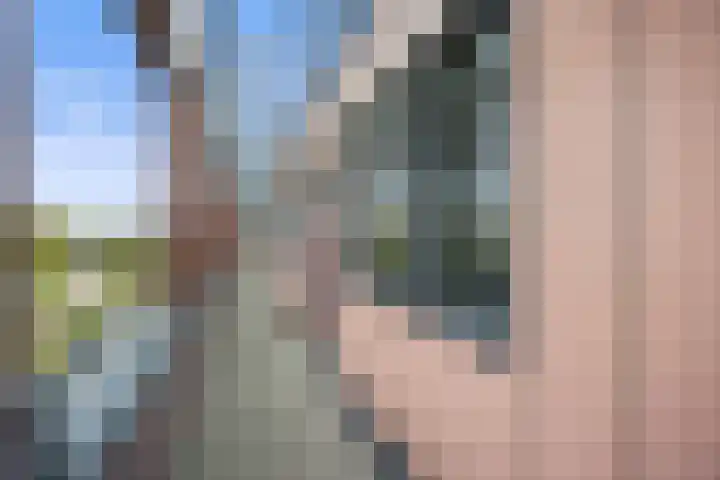 Vlaemsche Hoeve 204 Vlijmen thumbnail 24