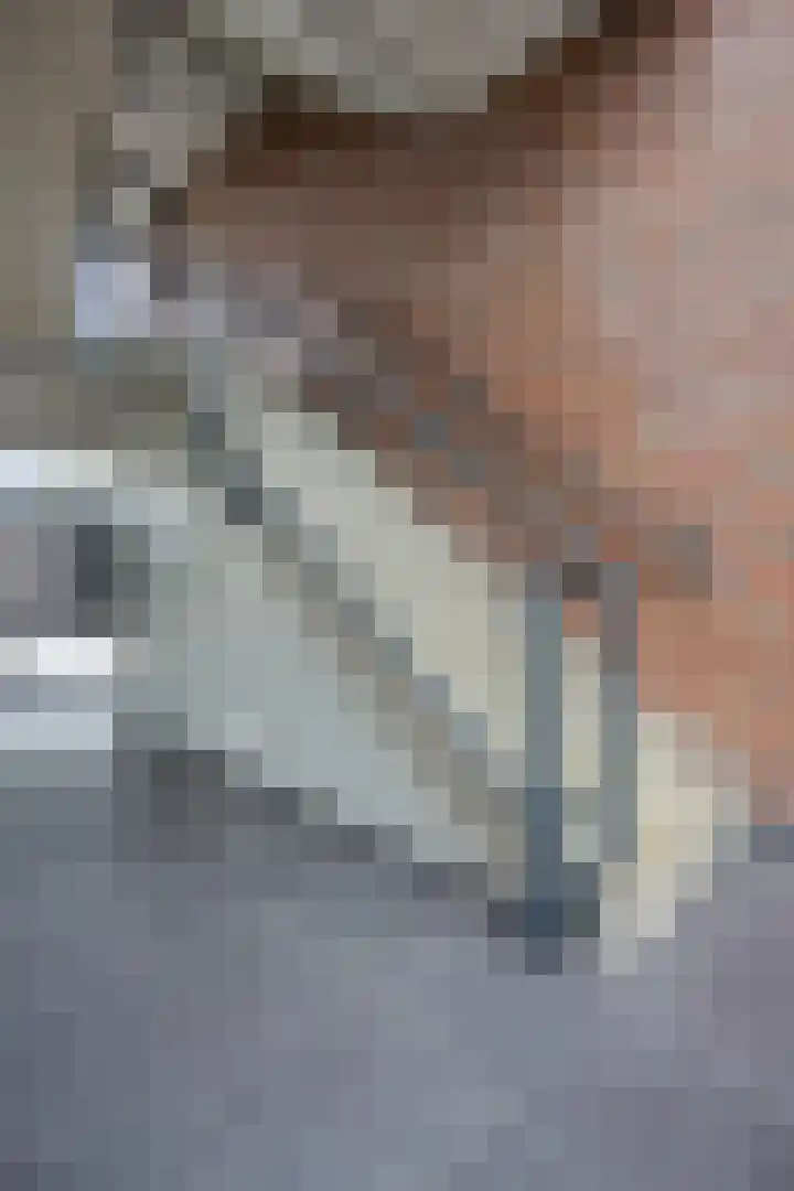 Vlaemsche Hoeve 204 Vlijmen thumbnail 26