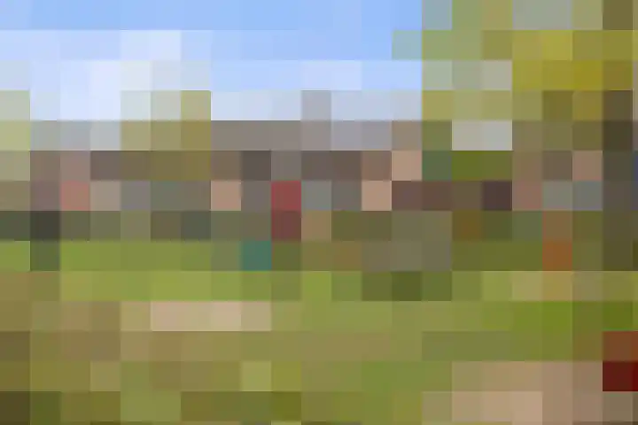 Vlaemsche Hoeve 204 Vlijmen thumbnail 30