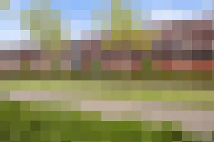 Vlaemsche Hoeve 204 Vlijmen thumbnail 31