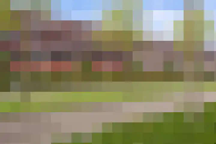 Vlaemsche Hoeve 204 Vlijmen thumbnail 32