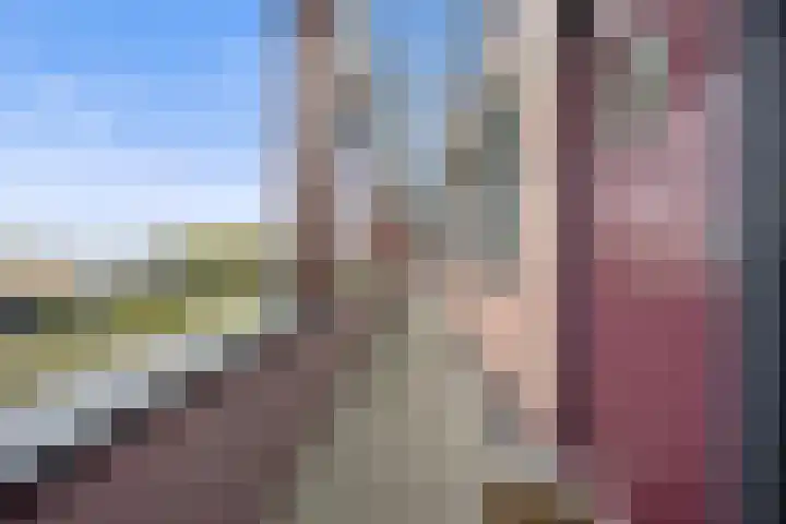 Vlaemsche Hoeve 204 Vlijmen thumbnail 5