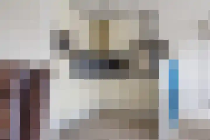 Vlaemsche Hoeve 204 Vlijmen thumbnail 9