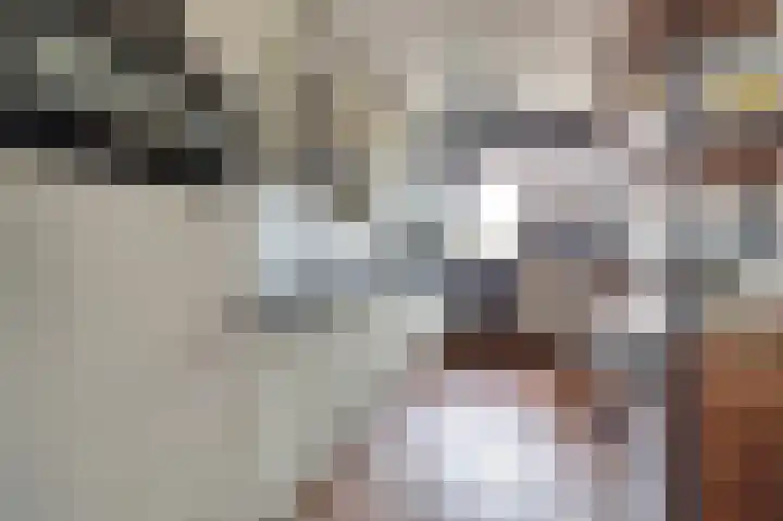 Vlaemsche Hoeve 216 Vlijmen thumbnail 10