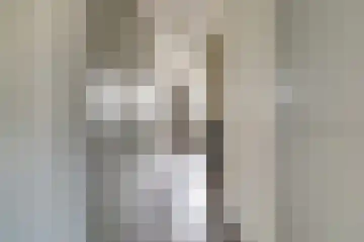 Vlaemsche Hoeve 216 Vlijmen thumbnail 13