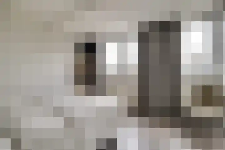Vlaemsche Hoeve 216 Vlijmen thumbnail 14