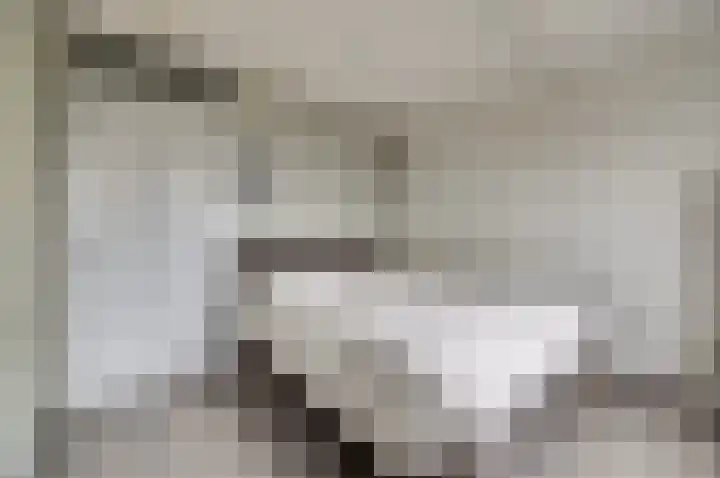 Vlaemsche Hoeve 216 Vlijmen thumbnail 16