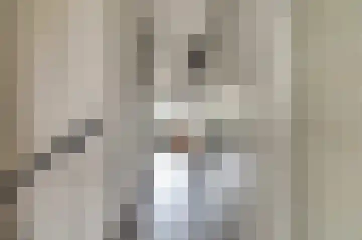 Vlaemsche Hoeve 216 Vlijmen thumbnail 17