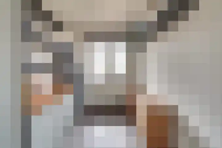 Vlaemsche Hoeve 216 Vlijmen thumbnail 18