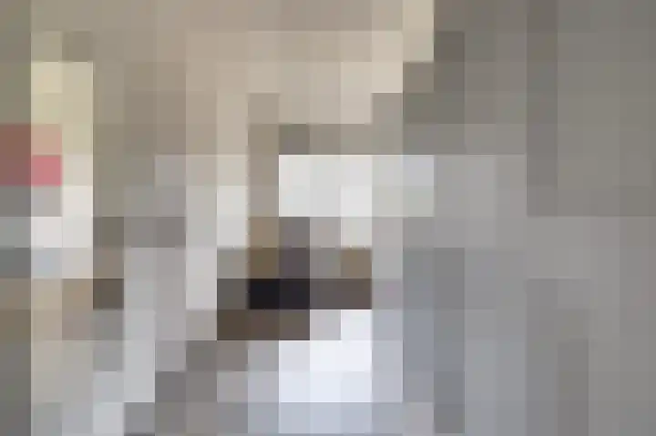 Vlaemsche Hoeve 216 Vlijmen thumbnail 20