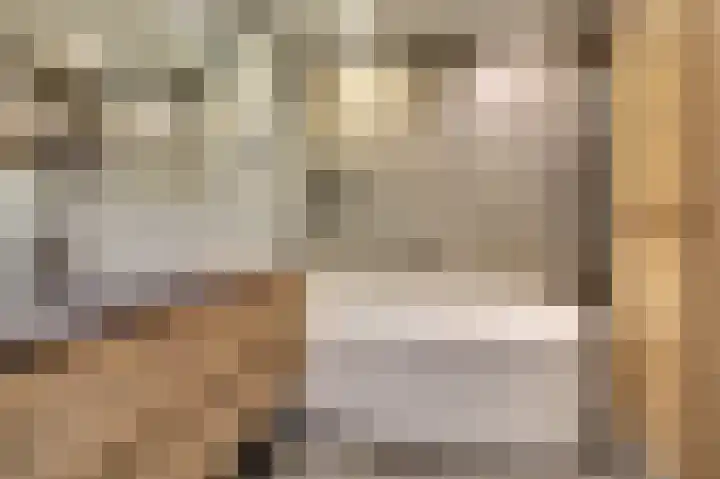 Vlaemsche Hoeve 216 Vlijmen thumbnail 22