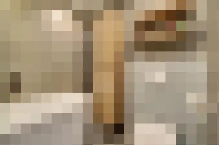 Vlaemsche Hoeve 216 Vlijmen thumbnail 23