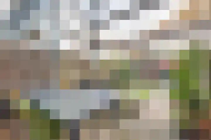 Vlaemsche Hoeve 216 Vlijmen thumbnail 25