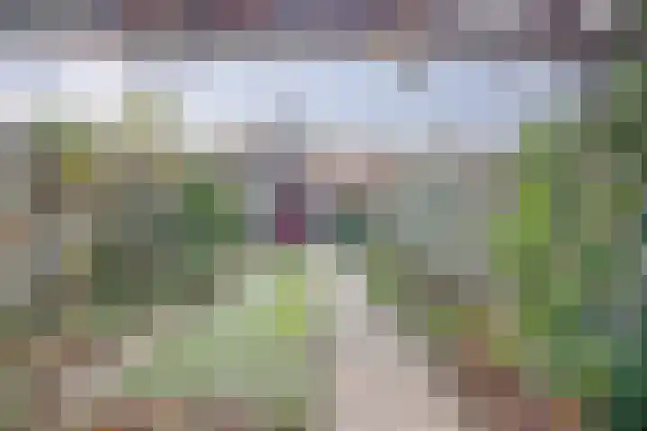 Vlaemsche Hoeve 216 Vlijmen thumbnail 26