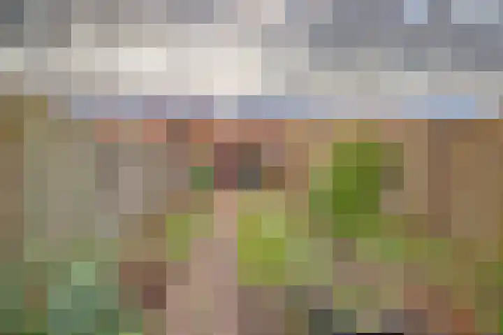 Vlaemsche Hoeve 216 Vlijmen thumbnail 27