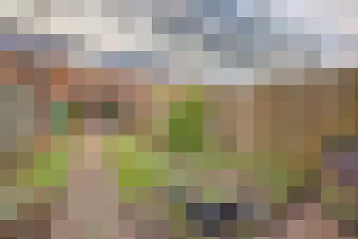 Vlaemsche Hoeve 216 Vlijmen thumbnail 28