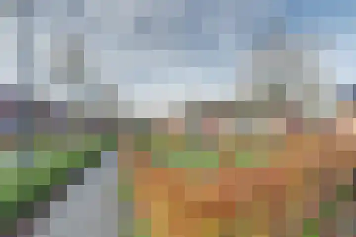 Vlaemsche Hoeve 216 Vlijmen thumbnail 29