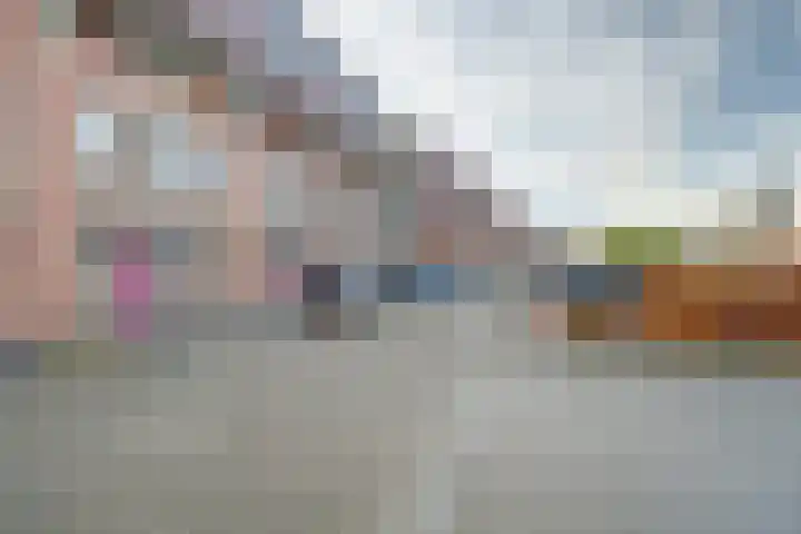 Vlaemsche Hoeve 216 Vlijmen thumbnail 31
