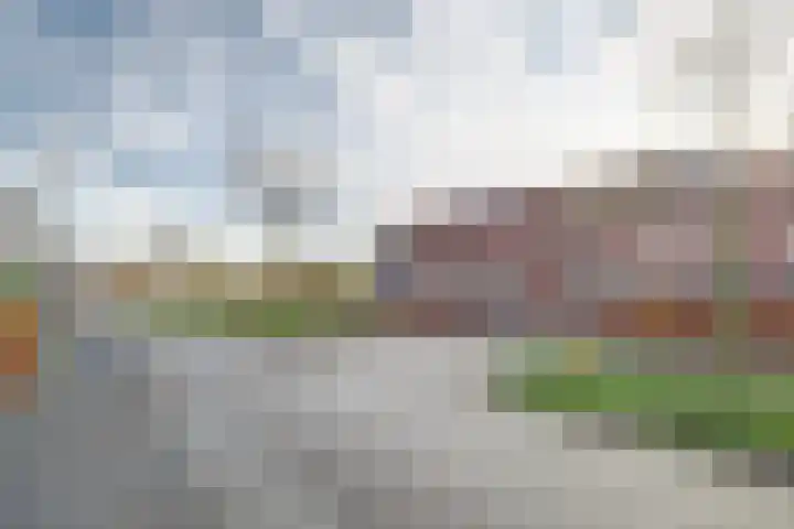 Vlaemsche Hoeve 216 Vlijmen thumbnail 32