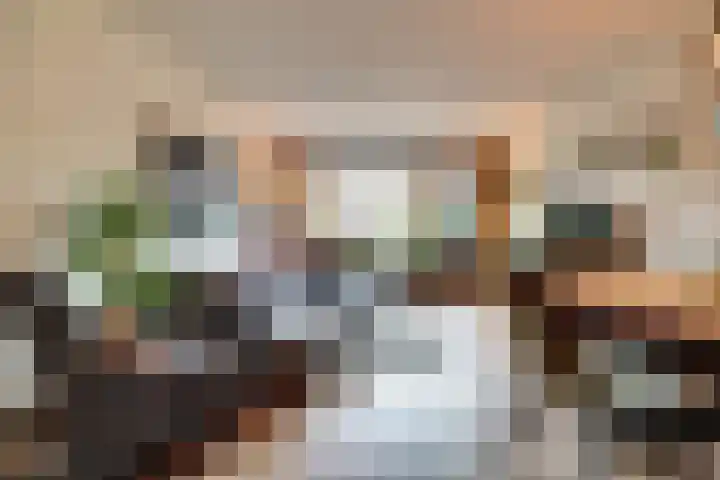Vlaemsche Hoeve 216 Vlijmen thumbnail 6