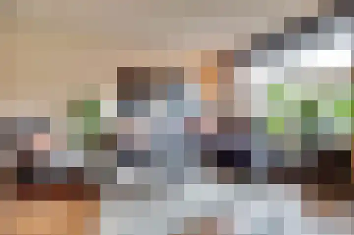 Vlaemsche Hoeve 216 Vlijmen thumbnail 7