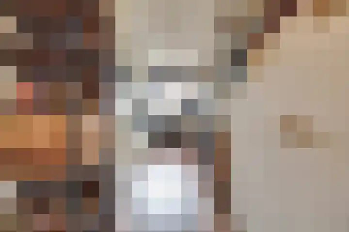 Vlaemsche Hoeve 216 Vlijmen thumbnail 9
