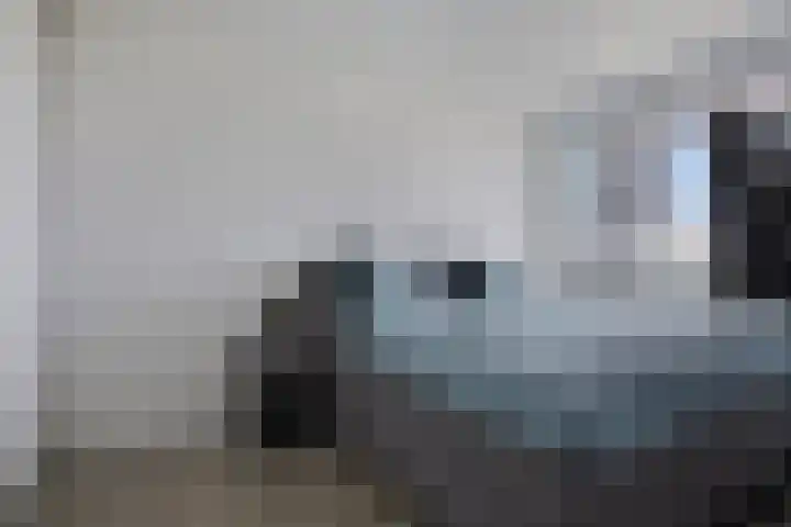 Vlaemsche Hoeve 88 Vlijmen thumbnail 11