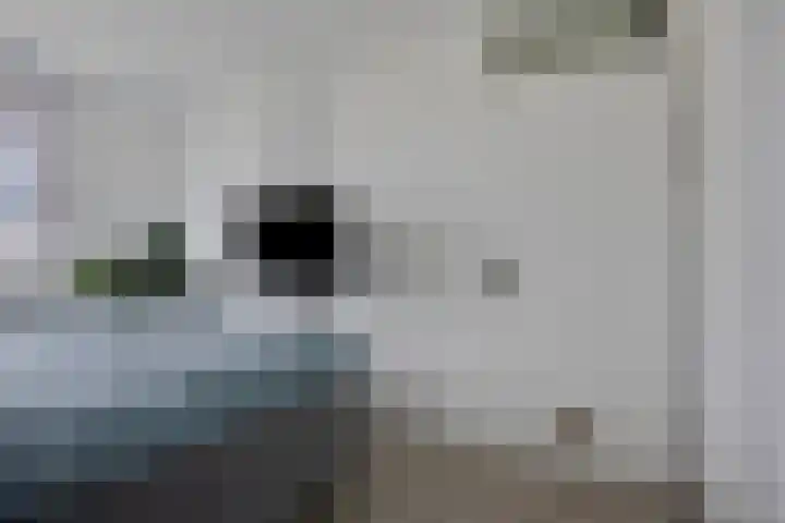 Vlaemsche Hoeve 88 Vlijmen thumbnail 12