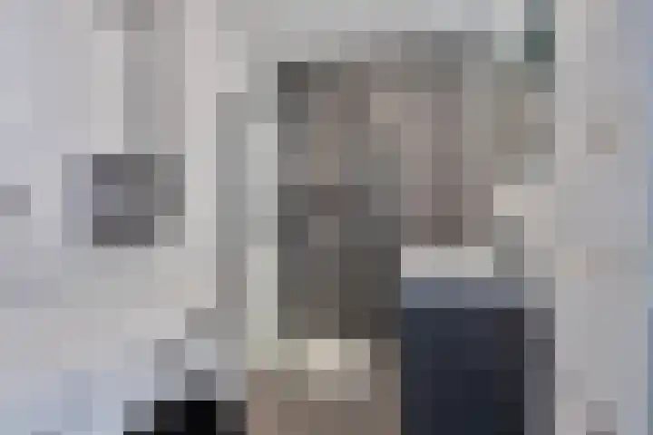 Vlaemsche Hoeve 88 Vlijmen thumbnail 13