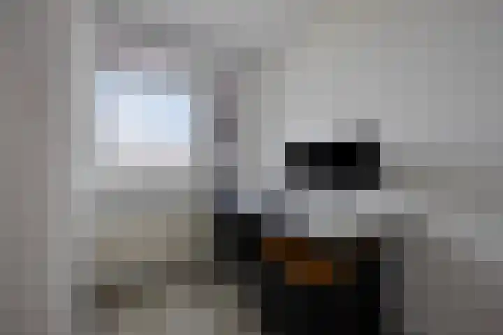 Vlaemsche Hoeve 88 Vlijmen thumbnail 15