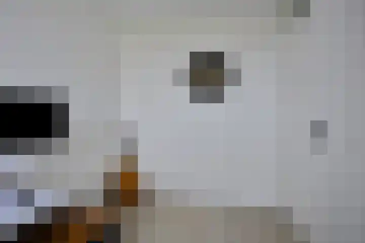 Vlaemsche Hoeve 88 Vlijmen thumbnail 16