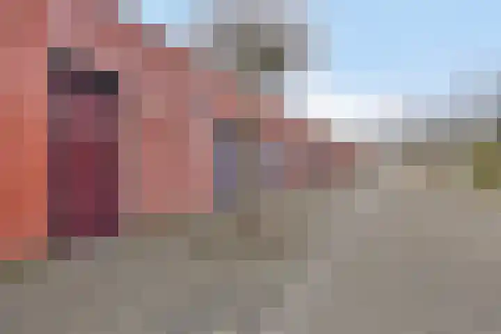 Vlaemsche Hoeve 88 Vlijmen thumbnail 19