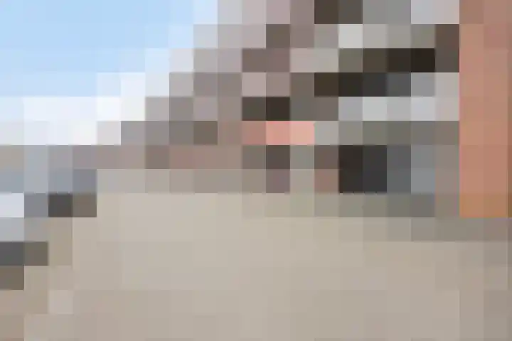 Vlaemsche Hoeve 88 Vlijmen thumbnail 21
