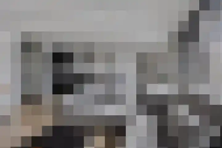 Vlaemsche Hoeve 88 Vlijmen thumbnail 4