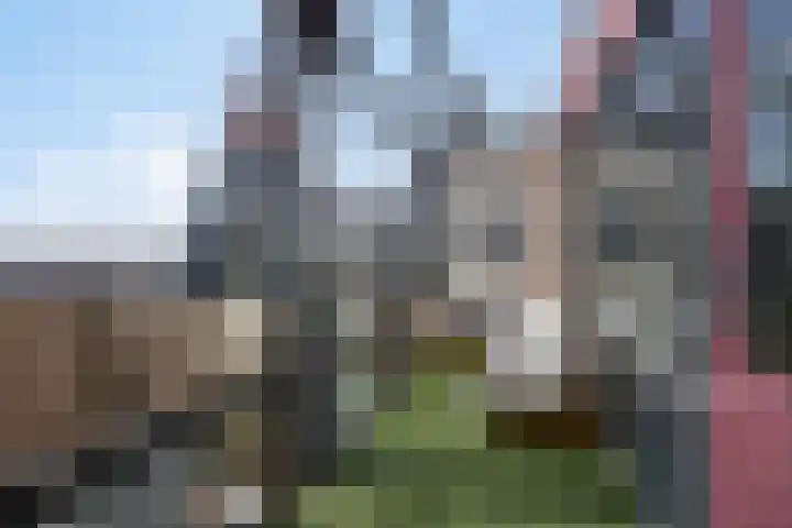 Vlaemsche Hoeve 88 Vlijmen thumbnail 8