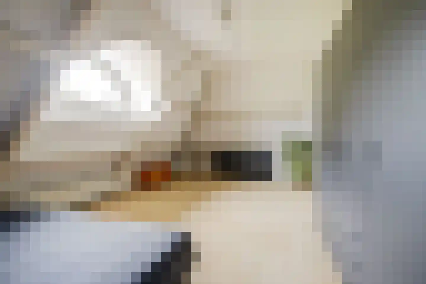 Vlagberg 20 Sint Anthonis thumbnail 38