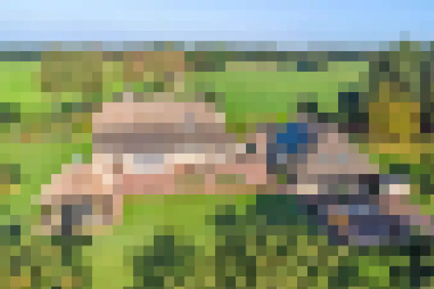 Vlagberg 20 Sint Anthonis thumbnail 69