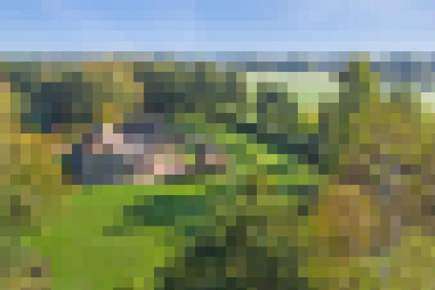Vlagberg 20 Sint Anthonis thumbnail 71