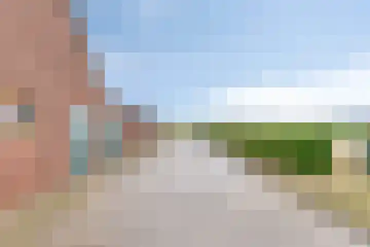 Vlagberg 29 Sint Anthonis thumbnail 36