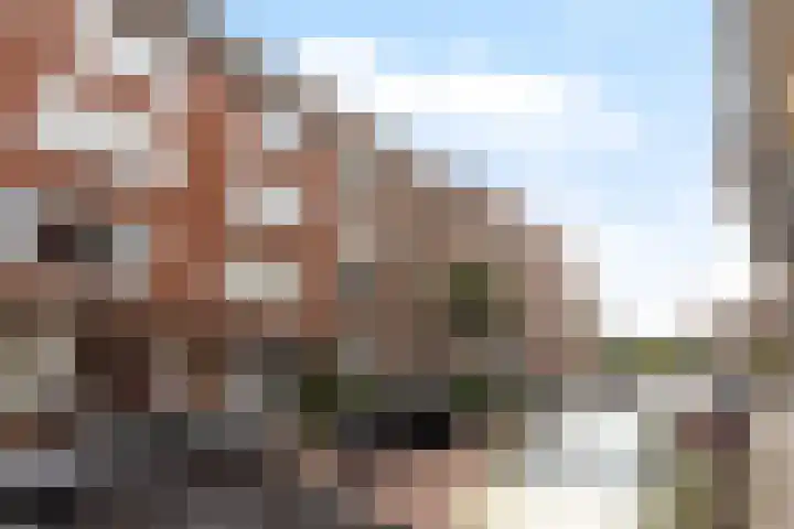 Vlaggemanstraat 40 C Rotterdam thumbnail 45
