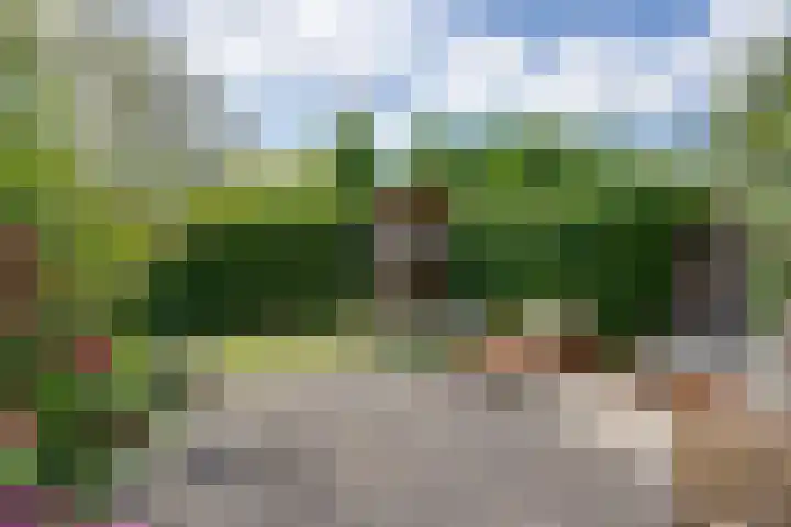 Vlaggemast 52 Amsterdam thumbnail 17