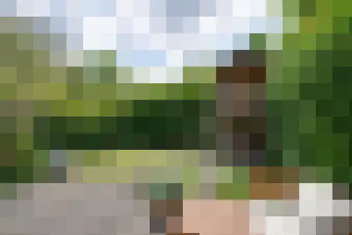Vlaggemast 52 Amsterdam thumbnail 18