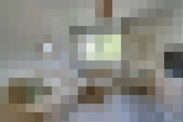 Vlaggemast 52 Amsterdam thumbnail 23