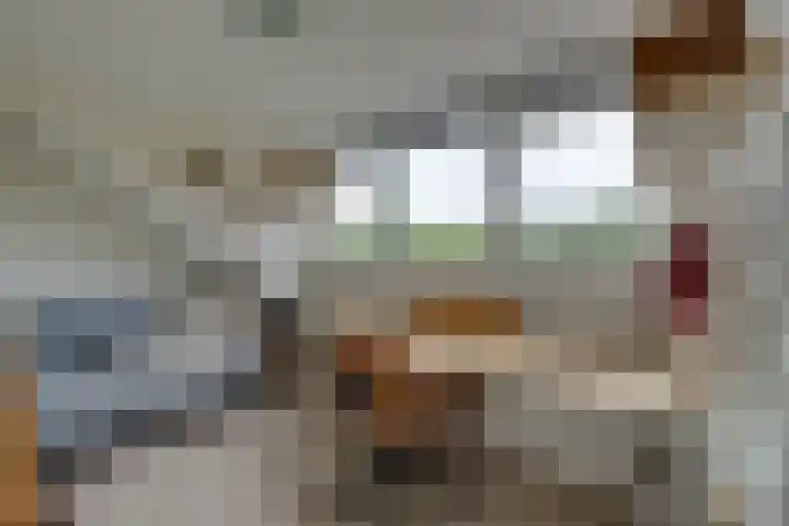 Vlaggemast 52 Amsterdam thumbnail 36
